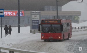 Профессор КФУ спрогнозировал в марте теплую погоду