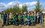 Работники ТАИФ-НК высадили в Нижнекамске порядка 350 саженцев хвойных деревьев