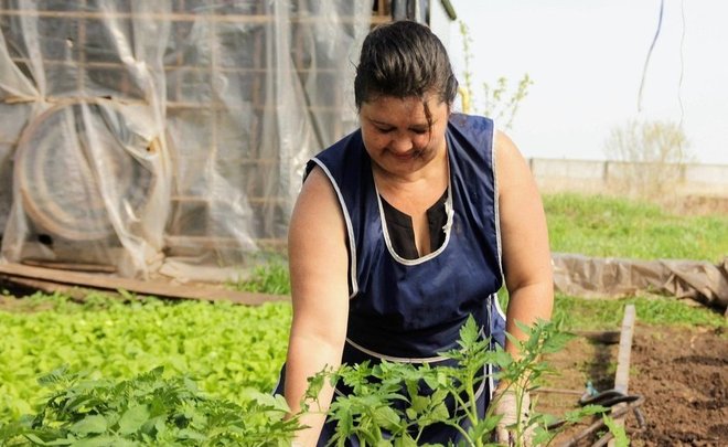 В Пестрецах у жителей изымают огороды, чтобы посадить газон