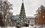 В сквере Филармонии в Казани установили 16-метровую новогоднюю елку