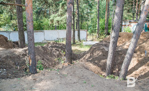 ОНФ: минэкологии РТ игнорирует обращения по засыпке зеленой зоны в Дербышках