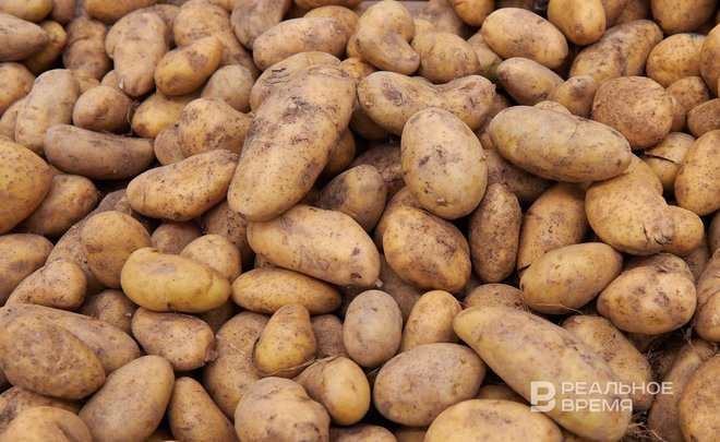 За неделю в Татарстане подорожала большая часть «борщевого набора» — подешевел картофель