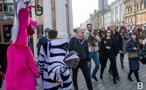 В мэрии Казани предложили заменить зебр и жирафов на улицах города Сююмбике и Зилантом