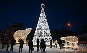 В приграничном районе Воронежской области отменили праздничные мероприятия из-за обстрелов ВСУ