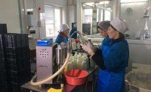Татарстан направил на поддержку местных производителей молока более 1,8 миллиарда рублей
