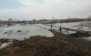 В деревне Тимофеевке из-за таяния снега подтопило низководный мост и две придомовые территории