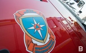 Возле села Усады загорелась трава на площади 1 га