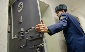 Госдума поддержала поправки к проекту о пожизненном сроке для педофилов