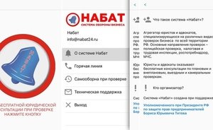 Бизнес-омбудсмен Борис Титов показал приложение для защиты бизнеса от проверок