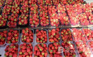 У казанцев самым популярным летним десертом оказалась клубника в шоколаде