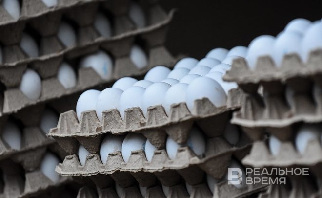 В хозяйствах татарстанцев сократилось производство молока и яиц