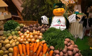 В России подорожали более чем на треть морковь и картофель