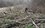 Из татарстанских лесов вывезли более 900 куб. метров мусора и сухостоя
