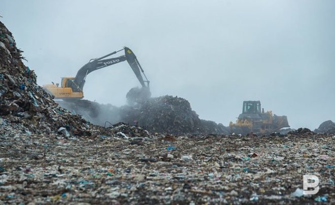 Татарстан рассматривает возможность борьбы с птицами на свалках и аэродромах с помощью соколов