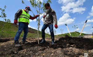 «Пусть это будет не свалка, а холм»: как Ильсур Метшин взошел на «мусорный Эверест» в Самосырово