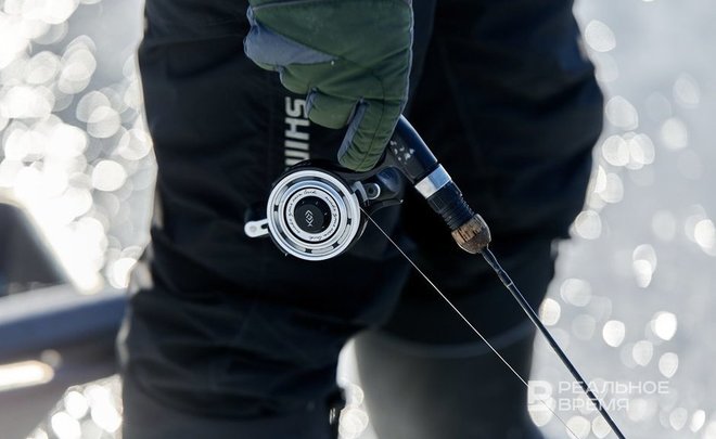 Минэкологии проверяет информацию о заморе рыбы в акватории Куйбышевского водохранилища в Казани