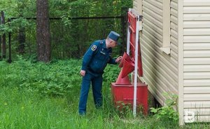 По сравнению с прошлым годом количество термических точек в лесах Татарстана выросло на 618