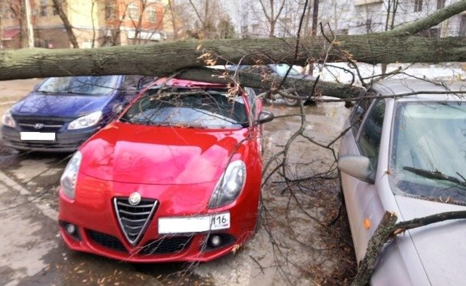 В Казани упало дерево на автомобиль Alfa Romeo