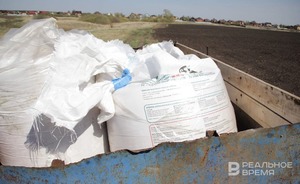 В Татарстане сохраняется импортозависимость по семенам технических культур