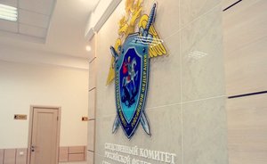 В Челнах будут судить девять подростков — участников ОПГ за серию краж из магазинов