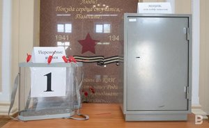 В Москве на избирательном участке семь минут ловили енота — видео