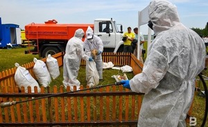 Роспотребнадзор исключил риски завоза чумы из Монголии в Россию