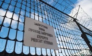 Госдума приняла в первом чтении законопроект о пожизненном лишении свободы за педофилию