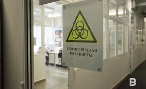 Число зараженных коронавирусом в Хубэе превысило 56 тысяч человек