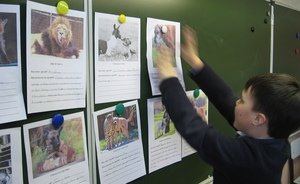 Татарстанские зоозащитники получат 1,19 млн на образовательную программу для младшеклассников
