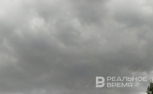 Из-за непогоды на территории Татарстана упало 38 деревьев