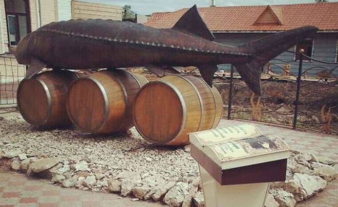 Минниханов посетил музей истории рыболовства в Тетюшах