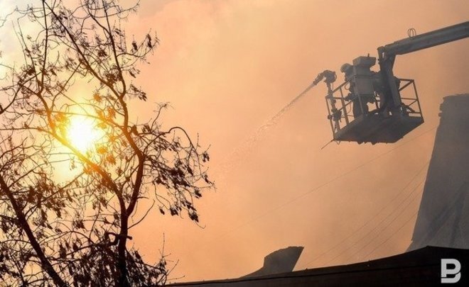 В Казахстане горит лес на площади 400 га — огонь может перекинуться на территорию России