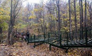 В Казани на содержание общественных пространств потратят 248 млн рублей