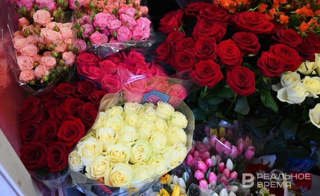 В Мамадышском районе Татарстана началось строительство розария