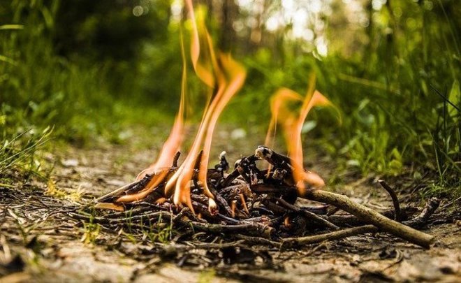 В России запретят частникам сжигать мусор и разводить костры с 2021 года