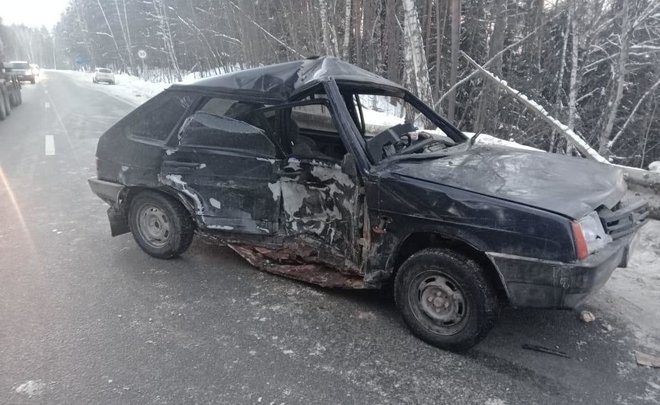 В Елабужском районе Татарстана водитель наехал на лося и попал в ДТП на встречке