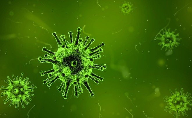 Биологи разработали способ уничтожения самого распространенного вируса человека