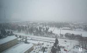 В Казани выявили повышенную концентрацию фенола и диоксида азота в воздухе