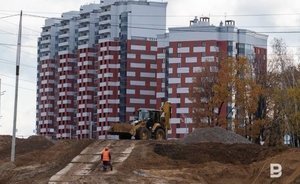 В Челнах жительница дома отсудила деньги за растущие перед окнами деревья