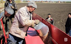 Аграрии Татарстана намолотили 5 миллионов тонн зерновых