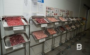 В Татарстане заработает горячая линия по качеству и безопасности мясных и рыбных продуктов