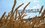 Россия повысит экспортную пошлину на пшеницу с 23 августа