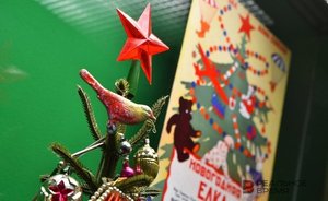 Роспотребнадзор: новогоднюю елку лучше покупать в 20-х числах декабря