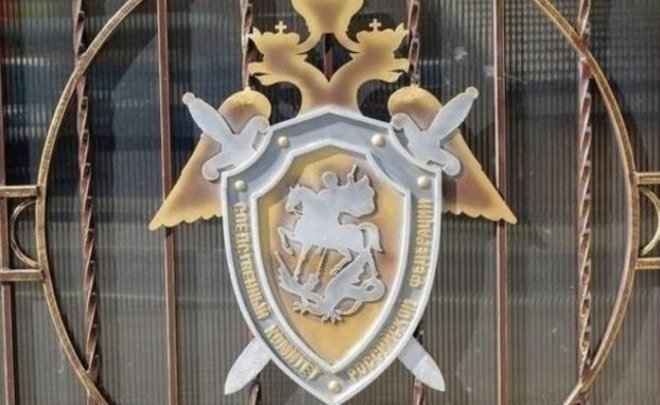 В Татарстане пенсионерку насмерть задавило сеном