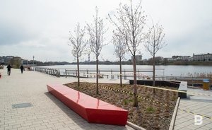 На набережной озера Кабан в Казани покажут фильмы-претенденты на премию «Золотая тарелка»