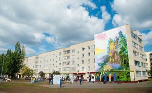 В Нижнекамске в День города торжественно открыли новый мурал от местного художника