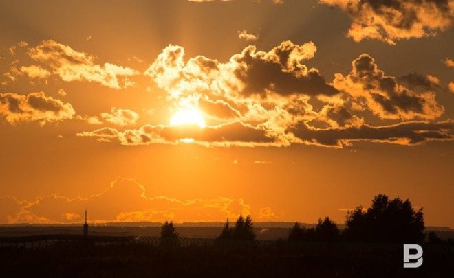 На всей территории Чувашии введен режим ЧС из-за засухи