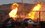 Возгорание на газопроводе в Башкирии ликвидировали