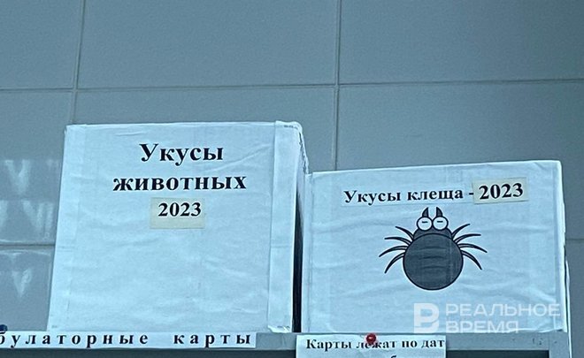 В Челнах выявили случай клещевого энцефалита у ребенка