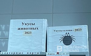 В Челнах выявили случай клещевого энцефалита у ребенка